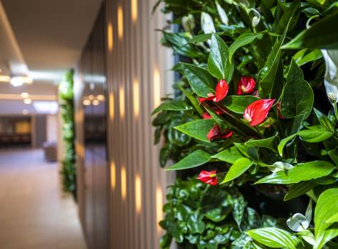 Greenfield Hotel Golf & Spa**** - Lobby_green wall