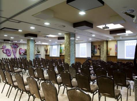 Wellness hotel CHOPOK - kongresový sál.jpg