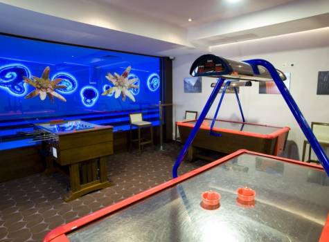 Wellness hotel CHOPOK - herna.jpg