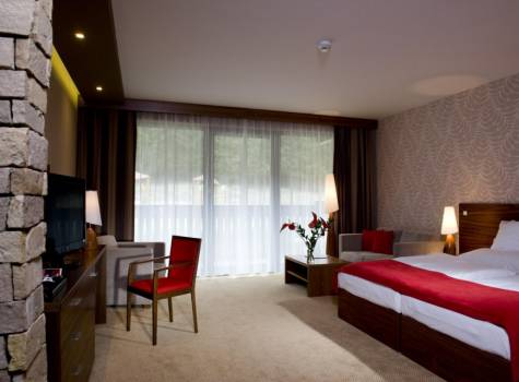 Wellness hotel CHOPOK - pokoj.jpg