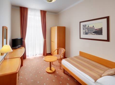 Hvězda Imperial - HOTEL HVEZDA_room_Neapol_Superior_SGL_1302_16A7283 (002)