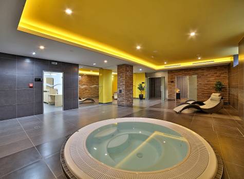 Hotel Alexander - wellness2