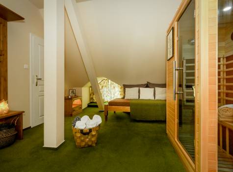 Penzion Černická obora - panstvi_bechyne_penzion_sauna_002