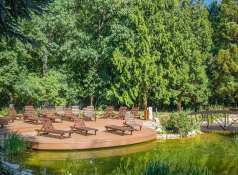 Fagus Hotel Conference & Spa - hotel_garden_lake