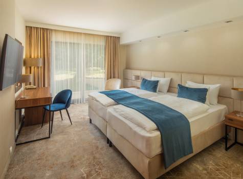 Fagus Hotel Conference & Spa - room