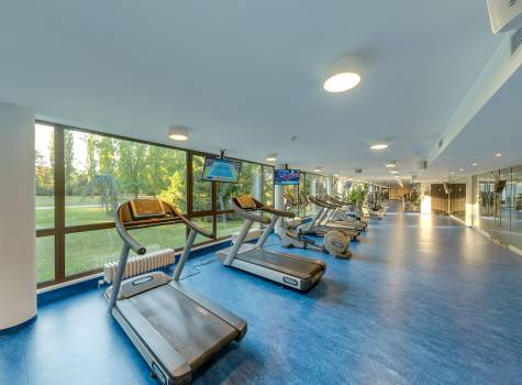 Splendid Ensana Health Spa Hotel - danubius_piestany-9007-1