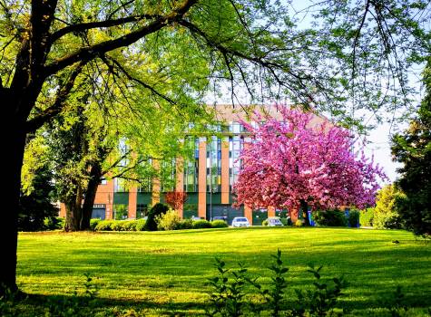 Aquincum Hotel Budapešť - The-Aquincum-Hotel-Budapest-park-spring (1)