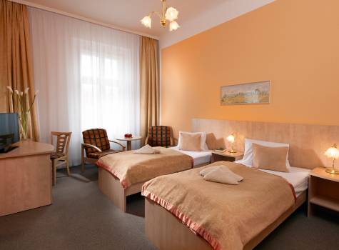 Goethe Spa & Medical Hotel - Goethe_Economy_Plus_2a