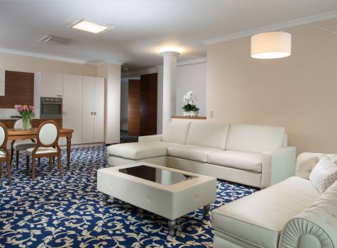 Grandhotel Nabokov Spa & Wellness - President Suite living room