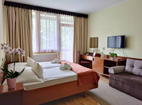 Apartman Hotel Bükfürdö - STANDARD_2218_2