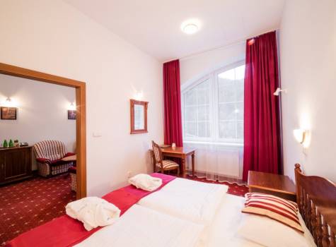 Hotel Aphrodite**** - Rajecké Teplice Apartmán 1 13942