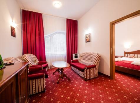 Hotel Aphrodite  - Rajecké Teplice Apartmán 2 13942