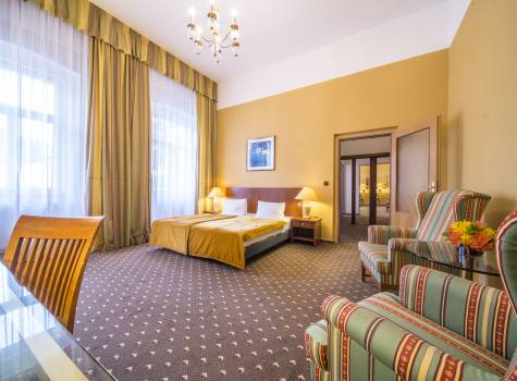 Hotel Luisa Františkovy Lázně - Luisa_dvouluzkovy_Standard