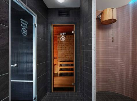 Hotel Slunný Dvůr lázně Jeseník  - slunak fokty 10