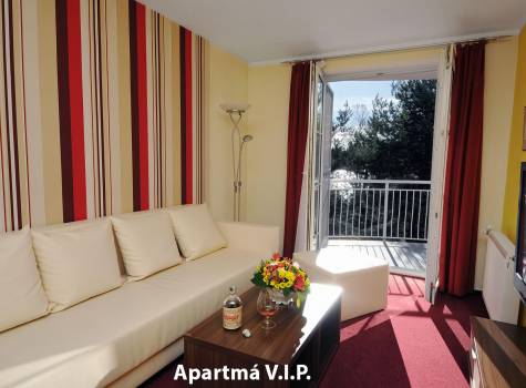 Hotel Svět - VIP Apartmá hotel Svět B.jpg