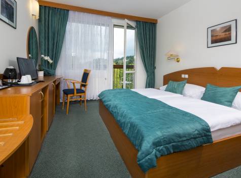 Hotel Nový Dům - ND superior811