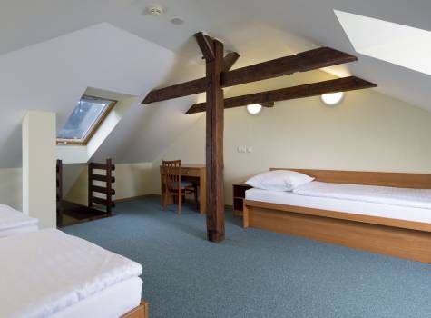 Hotel Lesní Zátiší*** - LZ 306 APA  2.l