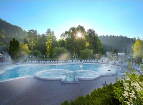 Hotel Vesna - outdoor pool