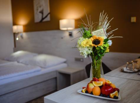 Hotel Vega **** - 6. Dvoulůžkový pokoj