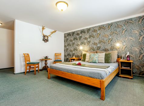 Hotel Panská - Hotel Panská - Deluxe pokoj (5)