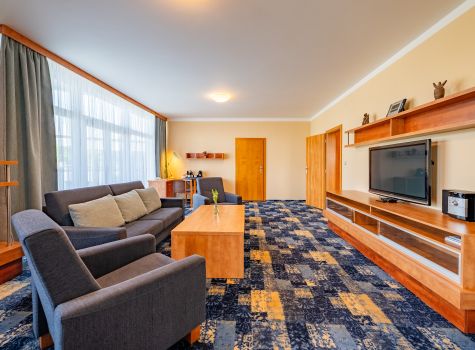 Lázeňský hotel Olga - Olga AP 4