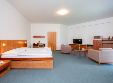Lázeňský hotel Olga - Olga LUX 3