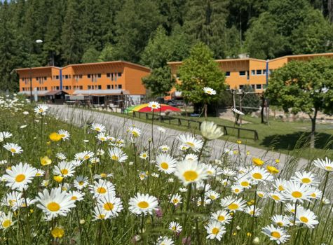Resort Špindl - IMG_3041