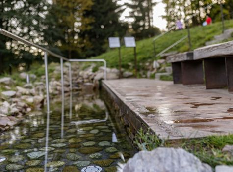 Lázně Jeseník Hotel Priessnitz - priessnitzovy-lazne-balneopark-172