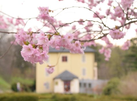Lázně Jeseník Hotel Priessnitz - priessnitzovy-lazne-jubilejni-vila-jaro