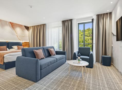 St. Joseph Royal Regent - JUNIOR SUITE CITY VIEW