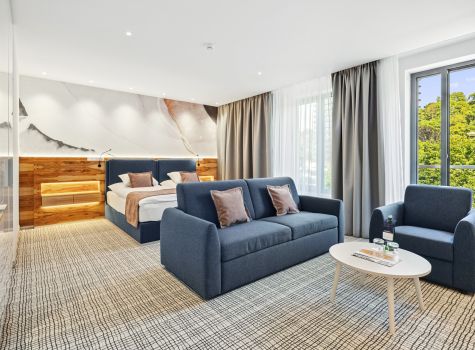 St. Joseph Royal Regent - JUNIOR SUITE CITY VIEW