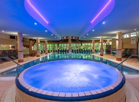 Lotus Therme Hotel & Spa Hévíz - wellness2