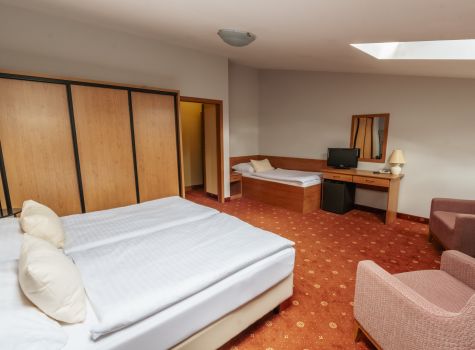 Lázeňský dům Paris *** - oz-67