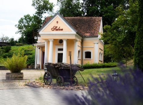 Lázně Mšené - 20250626 Lázně Mšené-4