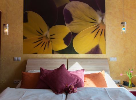 Design Hotel Romantick  - trebon pokoje foto brezen 019 zmensene-6022