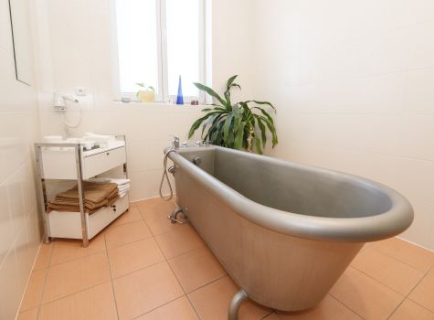 Golf & Spa resort Konopiště**** - Bath