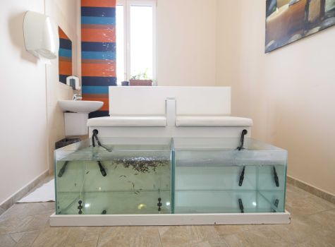 Golf & Spa resort Konopiště**** - IMG_1162