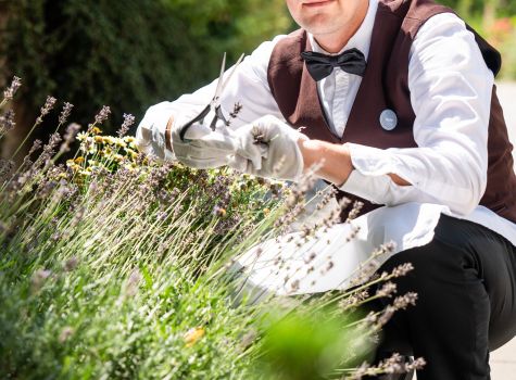 Boutique Hotel Radun - EFA05198