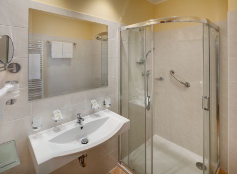 Hotel Svoboda - HOTEL SVOBODA_room_Margareta_Comfort_DBL_002_bath_16A8336