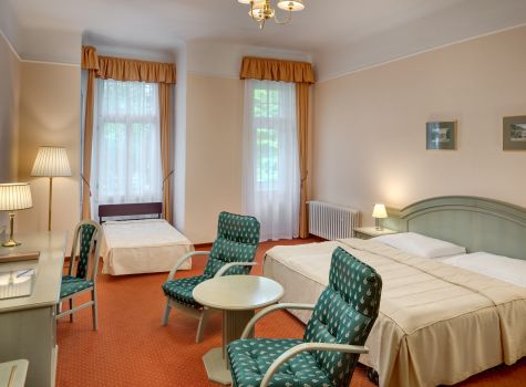 Hotel Svoboda - HOTEL SVOBODA_room_Svoboda_Comfort_DBL_306_16A1182