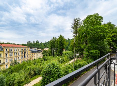 Hotel Svoboda - HOTEL SVOBODA_rooms_KomfortPlus_1204 (1)