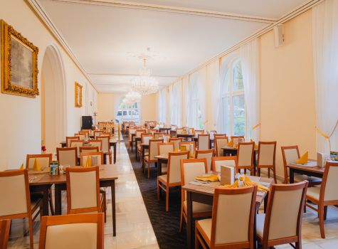 Hotel Svoboda - HOTEL SVOBODA_restaurant (29)