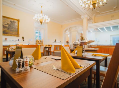 Hotel Svoboda - HOTEL SVOBODA_restaurant (18)