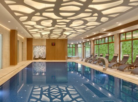 Hotel Svoboda - HOTEL SVOBODA_pool_16A1354