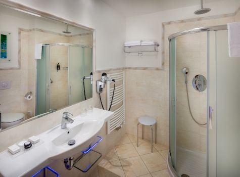 Hotel Hvězda - HOTEL HVEZDA_room_Imperial_Superior Plus_DBL_2401_bath_16A1127