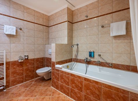 Hotel Hvězda - HOTEL HVEZDA_room_Junior_Suite (11)