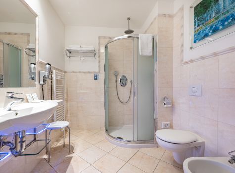 Hotel Hvězda - Hotel Hvězda_room_Superior_PlusWithView (10)