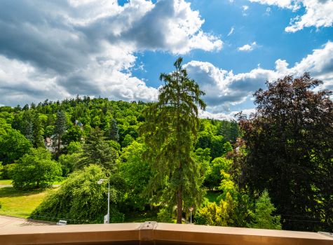 Spa Hotel Butterfly - HOTEL BUTTERFLY_view_Outside