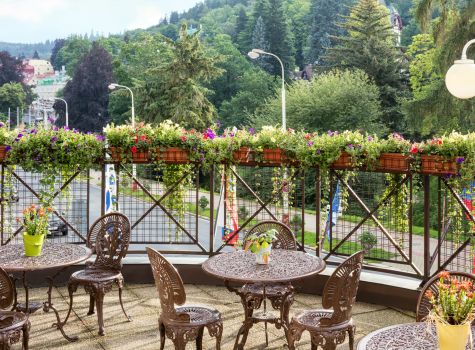 Spa Hotel Butterfly - HOTEL BUTTERFLY_restaurant_terrace_16A5483