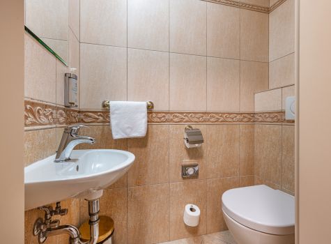 Centrální Lázně Health Spa Hotel - HOTEL CENTRALNI LAZNE_room Apartma (3)